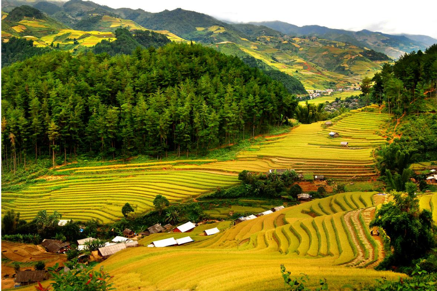 du lịch 2 ngày 1 đêm gần hà nội